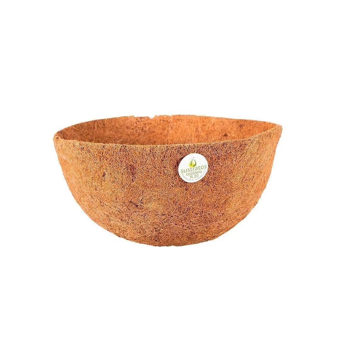 Cocotero