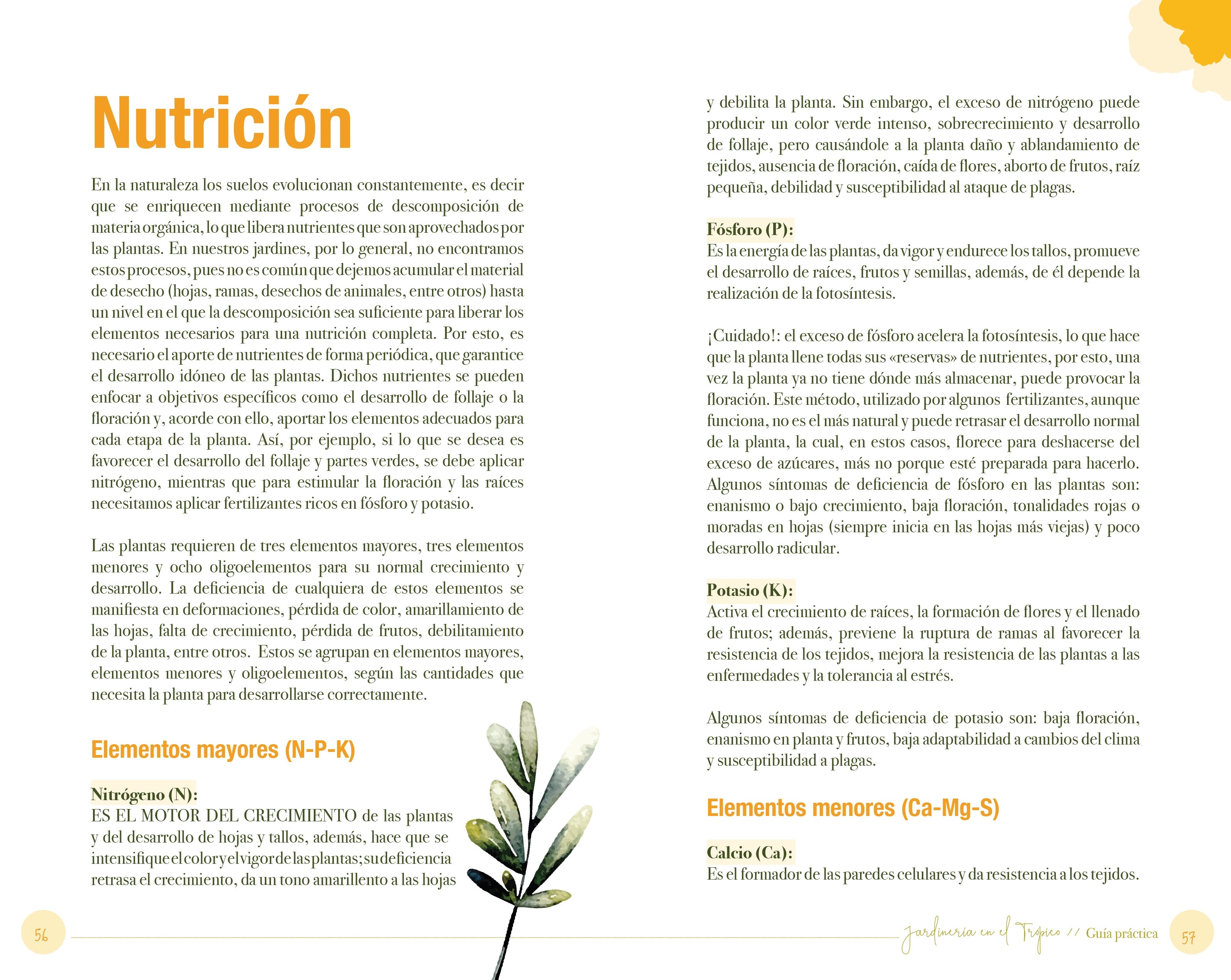 Libro Jardinería en el Trópico