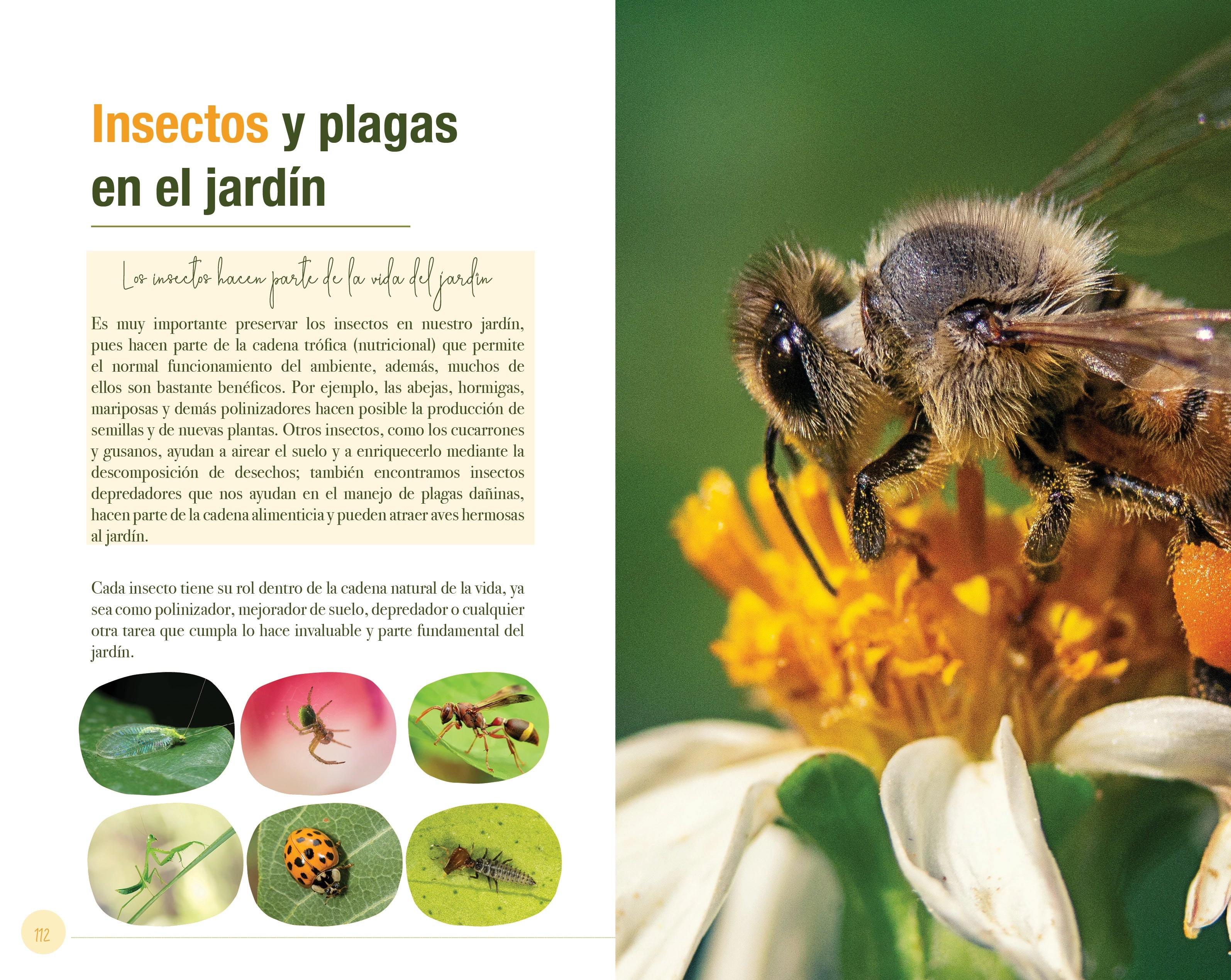 Libro Jardinería en el Trópico