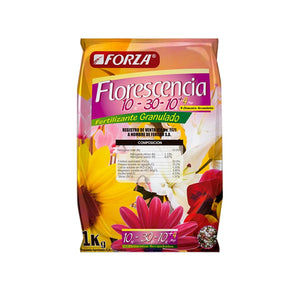 Florescencia 10-30-10