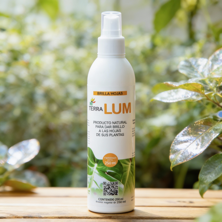 In Terra Lum - Brilla hojas