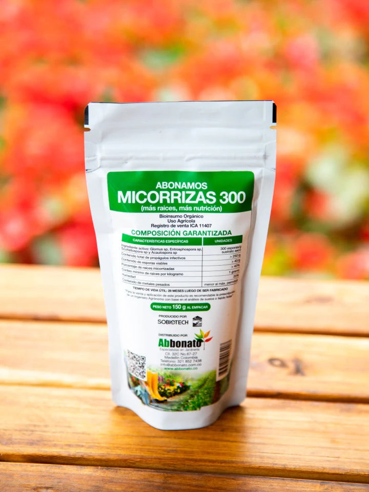 Micorrizas
